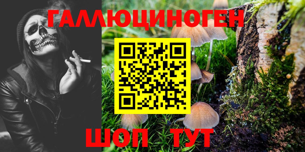 Гуково  Галлюциногенные грибы Cubensis  Вход с VPN 