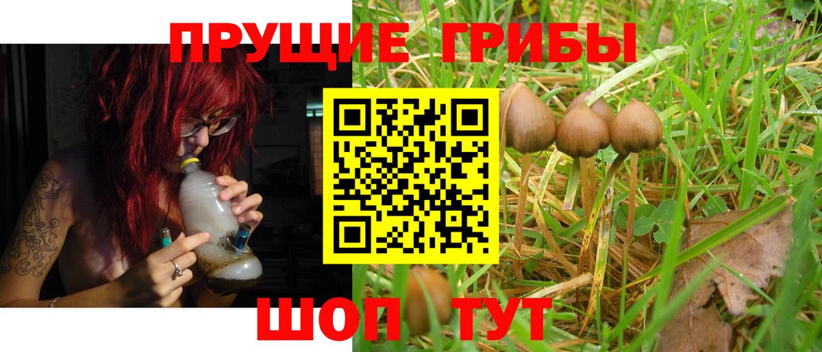 Псилоцибиновые грибы прущие грибы  Галлюциногенные грибы GOLDEN TEACHER  Гуково 