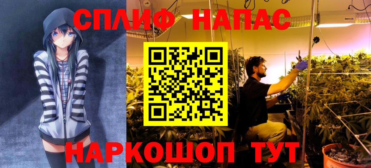 Бошки марихуана план Гуково